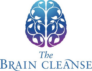 THE BRAIN CLEANSE logo