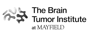 THE BRAIN TUMOR INSTITUTE AT MAYFIELD logo