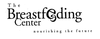 THE BREASTFEEDING CENTER NOURISHING THE FUTURE logo