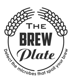 THE BREW PLATE DETECT THE MICROBES THATSPOIL YOUR BREW logo