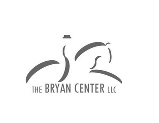 THE BRYAN CENTER, LLC logo