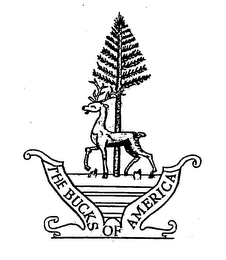 THE BUCKS OF AMERICA logo