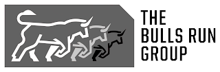 THE BULLS RUN GROUP logo