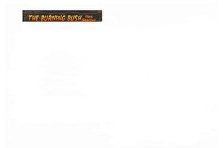 THE BURNING BUSH FIRE STARTER logo