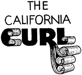 THE CALIFORNIA CURL logo
