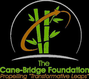 THE CANE-BRIDGE FOUNDATION PROPELLING "TRANSFORMATIVE LEAPS"