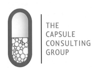 THE CAPSULE CONSULTING GROUP logo