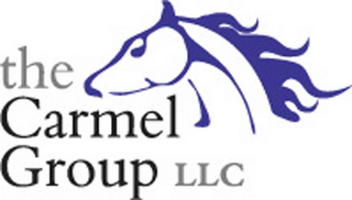 THE CARMEL GROUP LLC logo