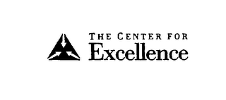 THE CENTER FOR EXCELLENCE logo