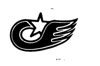 THE CHICKEN logo