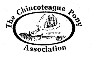 THE CHINCOTEAGUE PONY ASSOCIATION logo