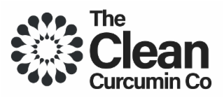 THE CLEAN CURCUMIN CO logo