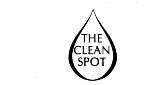 THE CLEAN SPOT logo
