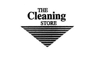 THE CLEANING STORE logo