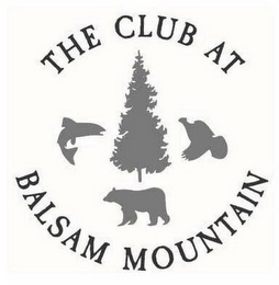 THE CLUB AT BALSAM MOUNTAIN logo