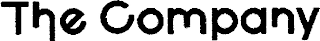 THE COMPANY logo