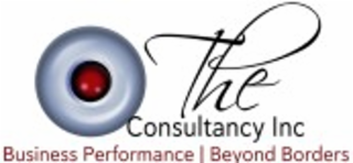 THE CONSULTANCY INC BUSINESS PERFORMANCE | BEYOND BORDERS logo