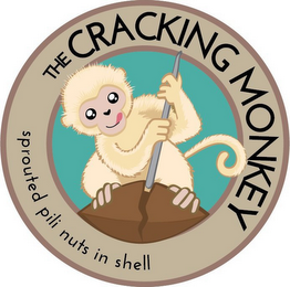 THE CRACKING MONKEY SPROUTED PILI NUTS IN SHELL logo