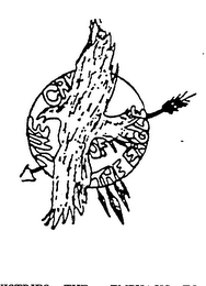 THE CRY OF THE EAGLE logo
