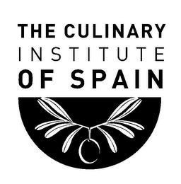 THE CULINARY INSTITUTE OF SPAIN logo