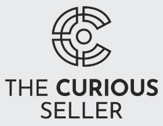 THE CURIOUS SELLER