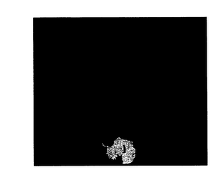 THE DEMOCRACY PROJECT logo