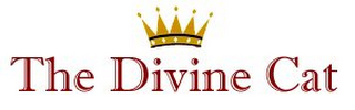 THE DIVINE CAT logo