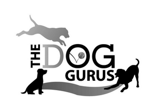 THE DOG GURUS logo