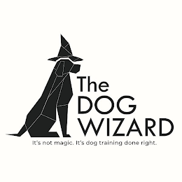 THE DOG WIZARD IT'S NOT MAGIC. IT'S DOGTRAINING DONE RIGHT. logo