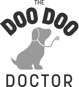 THE DOO DOO DOCTOR logo