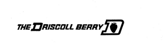 THE DRISCOLL BERRY logo