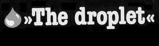 THE DROPLET logo