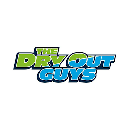 THE DRY OUT GUYS logo