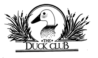 THE DUCK CLUB logo