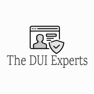 THE DUI EXPERTS logo
