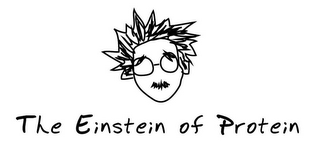 THE EINSTEIN OF PROTEIN logo