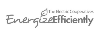 THE ELECTRIC COOPERATIVES ENERGIZEEFFICIENTLY logo