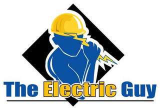 THE ELECTRIC GUY logo