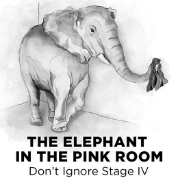 THE ELEPHANT IN THE PINK ROOM DON'T IGNORE STAGE IV logo