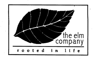 THE ELM COMPANY ROOTED IN LIFE logo
