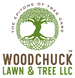 THE EPITOME OF TREE CARE WOODCHUCK LAWN & TREE logo
