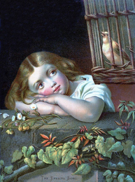 THE EVENING SONG. logo