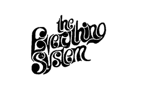THE EVERYTHING SYSTEM logo