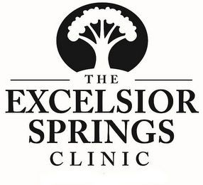 THE EXCELSIOR SPRINGS CLINIC logo