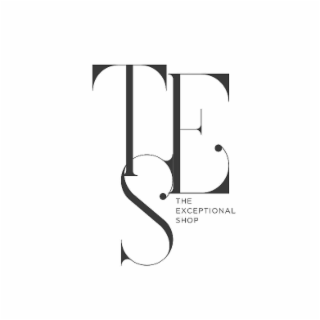 THE EXCEPTIONAL SHOP logo