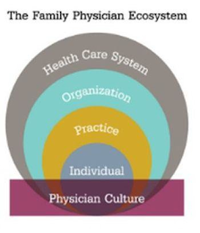 THE FAMILY PHYSICIAN ECOSYSTEM HEALTH CARE SYSTEM ORGANIZATION PRACTICE INDIVIDUAL PHYSICIAN CULTURE logo
