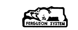 THE FERGUSON SYSTEM logo