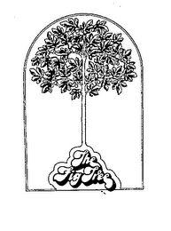 THE FIG TREE logo