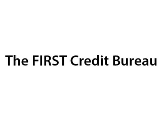 THE FIRST CREDIT BUREAU logo