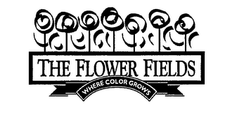 THE FLOWER FIELDS WHERE COLOR GROWS logo